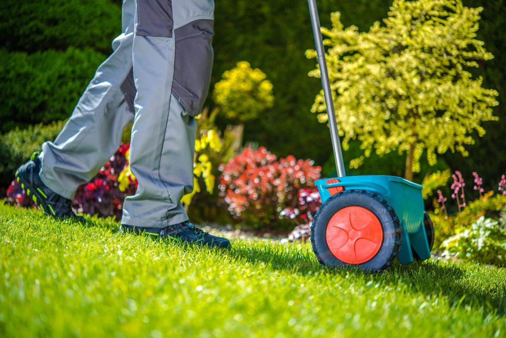 Tree Pruning and Trimming